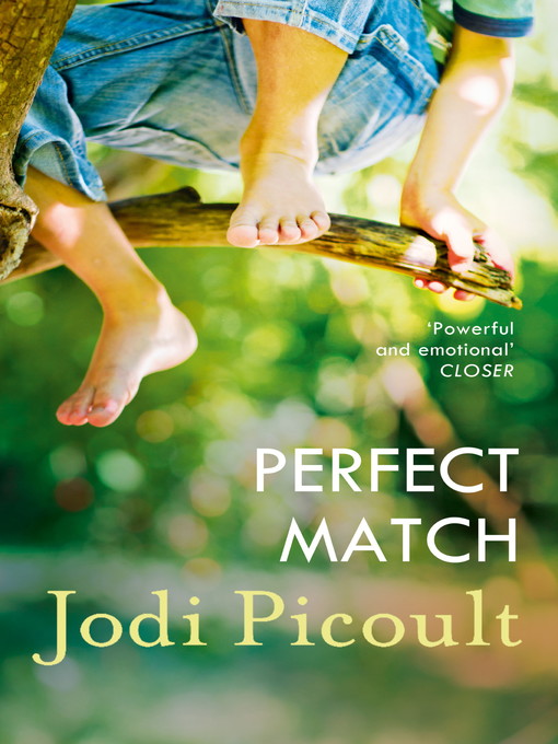 Perfect Match (eBook)